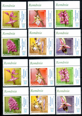Romania 2007, LP 1758 a + 1758 b, Orhidee salbatice, serii cu tabs ROM-ENG, MNH! foto