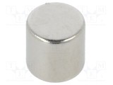 Magnet fix neodim &Oslash;5mm H5mm 5,5N ELESA GANTER