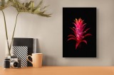 Tablou Canvas, "Roșu exotic &icirc;n &icirc;ntunericul nopții", Flori, Roșu, Exotic, Contrast, Lumină, Natură, Eleganță, Vivid, Tropical, Dramatic, 26 x 39 cm, CM