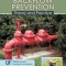 Backflow Prevention: Theory and Practice