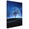 Tablou peisaj nocturn cu copac si luna Tablou canvas pe panza CU RAMA 70x100 cm