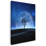 Tablou peisaj nocturn cu copac si luna Tablou canvas pe panza CU RAMA 70x100 cm