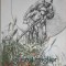 GUSTUL FRAGILOR, POVESTI CARASENE-FRANC SERBESCU-213513