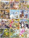 COLITE 12 buc. diferite - SERIE FAUNA