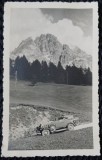 Fotografie, Cu masina in zona montana, 1934