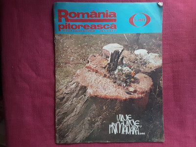 Revista Romania Pitoreasca Nr.3 - 1974 foto