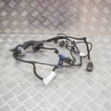 Cablaj ușă dreapta față MASERATI QUATTROPORTE VI 2014 OEM: 6700075080,06700075080 13345617