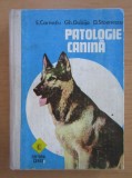 E. Carnatiu, Gh. Dabija, D. Stoenescu - Patologie canina.