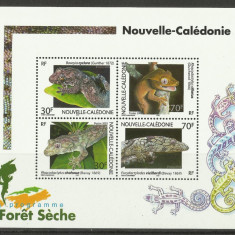 NOUA CALEDONIE 2003 FAUNA SOPARLE