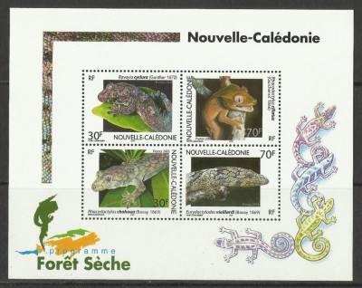NOUA CALEDONIE 2003 FAUNA SOPARLE foto