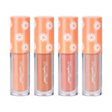 Set 4 Rujuri Lichide Mate Ranee Matte Lipstick, Orange, C