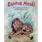 Esopus mes&eacute;i - 300 tanuls&aacute;gos &aacute;llatmese az ifj&uacute;s&aacute;g okul&aacute;s&aacute;ra - Esopus