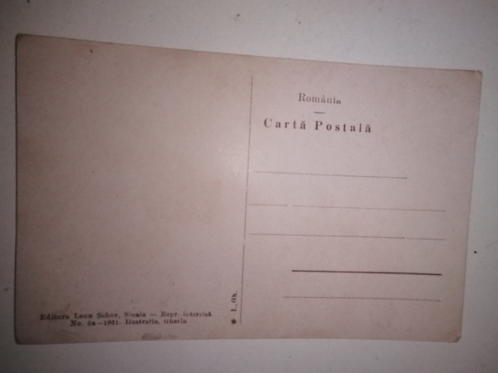 CARTE POSTALA SINAIA CASTELUL PELES - NECIRCULATA