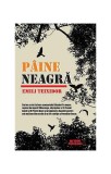 P&acirc;ine neagră - Paperback brosat - Emili Teixidor - Meteor Press