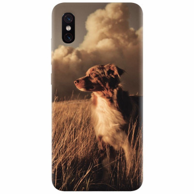 Husa silicon pentru Xiaomi Mi 8 Pro, Alone Dog Animal In Grass foto