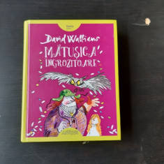 MATUSICA INGROZITOARE - DAVID WALLIAMS