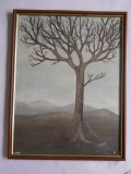 J.Doerr,peisaj premontan,simbolist,ulei/carton,40x31cm,rama/sticla, Natura, Altul