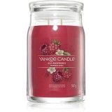 Yankee Candle Red Raspberry lum&acirc;nare parfumată Signature 567 g
