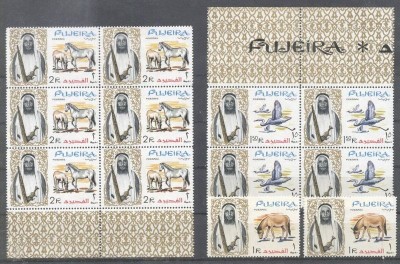 Fujeira 1964 Birds, Horses, blocks, 12 values, MNH AS.014 foto