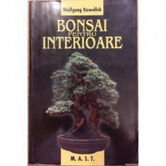 Bonsai pentru interioare foto