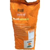 Seminte Porumb KWS Kashmir FAO 370 Plus4Grain, 50.000 boabe, Productie Ridicata