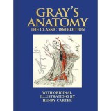 Grays Anatomy - The Classic 1860 Edition