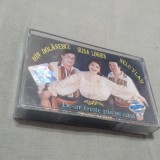 CASETA AUDIO PETRECERE ION DOLANESCU/IRINA LOGHIN/NELU VLAD DE LA AZUR ORIGINALA