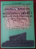 REZISTENȚA ARMATĂ DIN MUNȚII FĂGĂRAȘ : GRUPUL GAVRILA - OGORANU