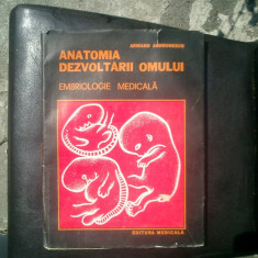 Anatomia dezvoltarii omului embriologie medicala - Armand Andronescu