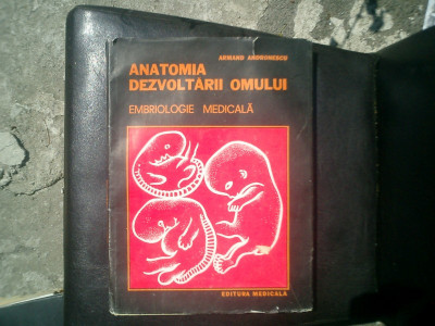 Anatomia dezvoltarii omului embriologie medicala - Armand Andronescu foto