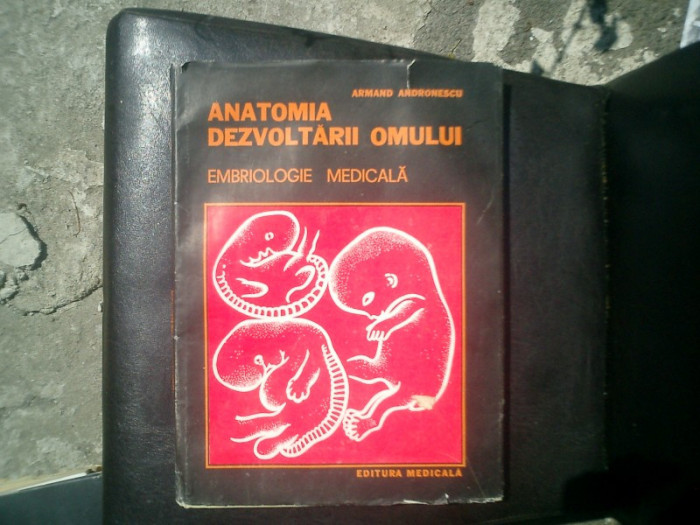Anatomia dezvoltarii omului embriologie medicala - Armand Andronescu