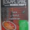 SASA SI FORTUL SUBTERAN , ESCAPE GAME , SPECIAL MINECRAFT de VINCENT RAFFAITIN , 2020