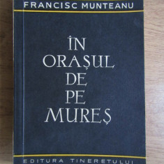 Francisc Munteanu - În orașul de pe Mureș