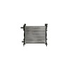 Radiator Apa Ford Ka Ru8 Denso Drm10060
