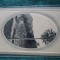 Baile Olanesti -Valcea carte postala interesanta, amboasata