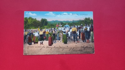 Dobrogea Cadrilater Dobrici Balcic Baltchik Baltschik Culesul viilor foto