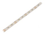 Bandă LED alb rece 24V IP65