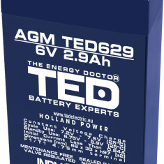 Acumulator AGM VRLA 6V 2.9Ah plumb acid 66x33x97 mm F1 terminal TED Battery Expert Holland