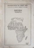Flora Tropicala Subtropicala - D. Miitelu, T. Chifu, 1981, Ed. Universitatii Iasi, Geografie, Carte Veche, 282 Pagini