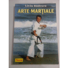 ARTE MARTIALE - Liviu BADESCU