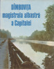 Dambovita magistrala albastra a Capitalei, 1988, Adevarul Holding