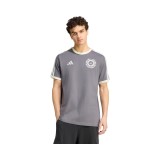 Mercedes AMG Petronas tricou de bărbați Silver Arrows Icon grey F1 Team 2026 - XL