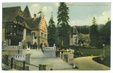 544 - SINAIA, Prahova, Pelisor, Corpul de Garda, Romania - old postcard - unused, Necirculata, Printata