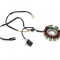 Stator ATV200cc 4T, 11 bobine+senzor scanteie, Loncin