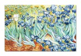 Tablou GIGANT celebru pictat manual living, Irisi la Saint-Remy, 150x100cm ulei pe panza, reproducere Vincent van Gogh