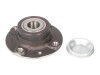 Set rulment roata PEUGEOT 307 CC (3B) (2003 - 2016) RINGER 1141006252
