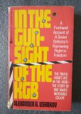 Alexander A. Ushakov - In The Gun-Sight of The KGB