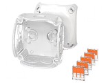 Carcasă de conexiuni IP66 compactă