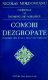 Dictionar de intelepciune patristica. Comori dezgropate - Nicolae Moldoveanu
