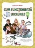 Afla totul despre: Cum functioneaza lucrurile |, Aramis